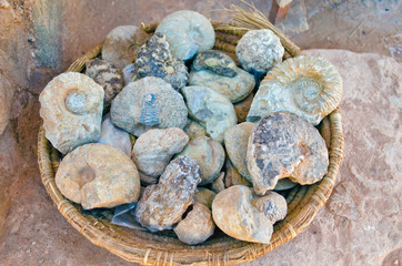 Fototapeta na wymiar ammonites fossils for sale as souvenirs 