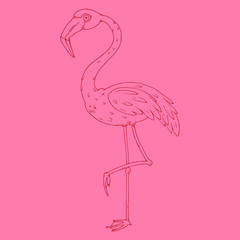 Flamingo icon. Vector illustration of a flamingo. Flamingo hand drawn.