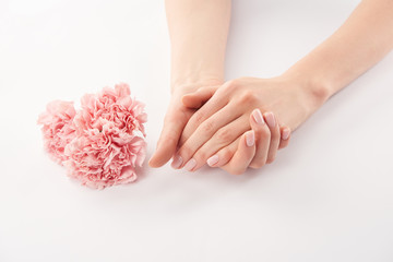 Partial view of female hands and carnations flowers on white background