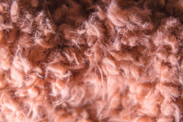 Background Wallpaper