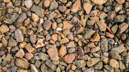 Gravel as natural background.