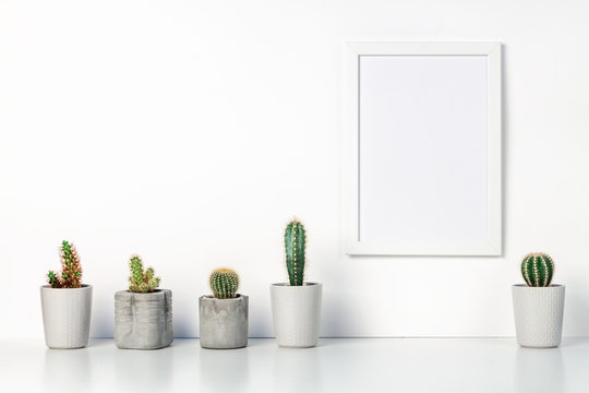 Shelf on a white empty wall. Copy space. Place for text. Scandinavian style. White empty frame mockup. Cactuses in concrete pots set in a row