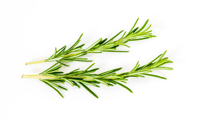 2 (two) delicate branches of rosemary. Foreground. Isolated on white background.