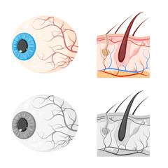 Isolated object of body and human logo. Set of body and medical stock vector illustration.