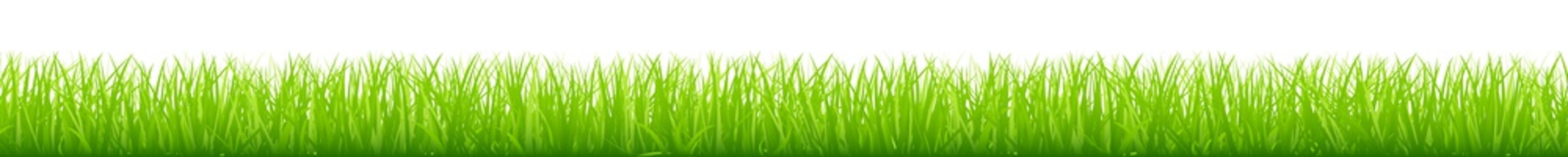 Straight Meadow Banner Green