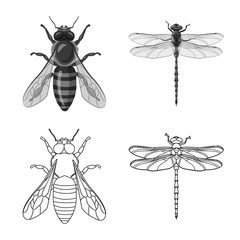 Vector illustration of insect and fly symbol. Set of insect and element vector icon for stock.