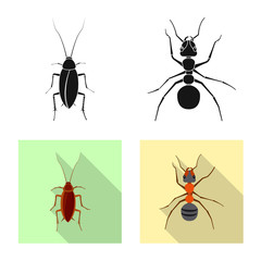 Vector illustration of insect and fly sign. Set of insect and element vector icon for stock.