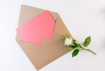 Soft purple rose and an envelope on white background.