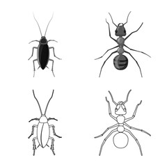 Vector design of insect and fly logo. Set of insect and element stock vector illustration.