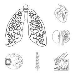 Vector design of body and human symbol. Set of body and medical stock symbol for web.
