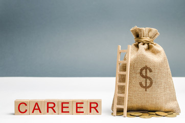 Wooden blocks with the word Career, money bag and ladder. Self-development and leadership skills....