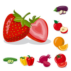 Isolated object of vegetable and fruit icon. Collection of vegetable and vegetarian vector icon for stock.