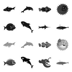 Vector design of sea and animal sign. Set of sea and marine stock symbol for web.