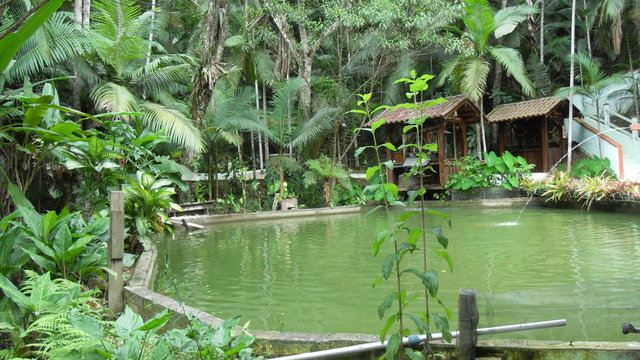 Museu de cultura italiana