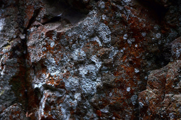 beautiful winter mountain nature