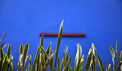 The Blue House Frida Kahlo Museum