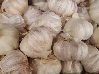 White garlic pile texture. Fresh garlic on market table closeup photo. Vitamin healthy food spice image. Spicy cooking ingredient picture. Pile of white garlic heads. White garlic head heap top view