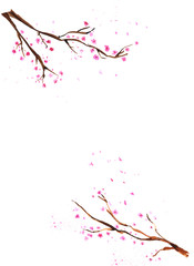 Obraz premium Watercolor hand drawn blossom sakura branches. Isolated floral spring illustration on white background.