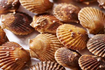 Scallop on marble stone table