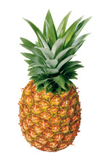 Fototapeta premium Ananas mit Blatt