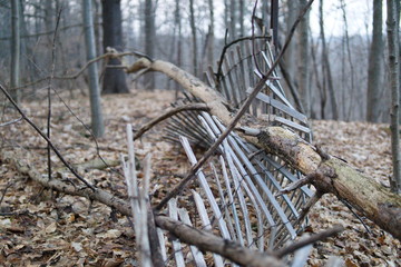 Broken fence with fallen tree on top