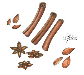 Watercolor hand drawn illustration with different spices: cinnamon, anise, almond