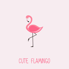 Cute Flamingo vector illustration with Pink Flamingo. lettering isolated illustration on light pink background
