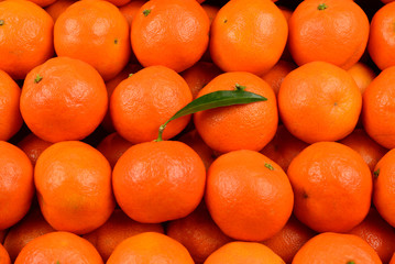 Mandarin orange background.