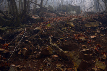 beautiful winter mountain nature