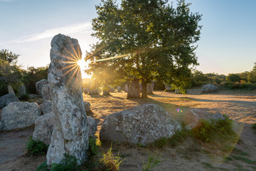 French landscape - Bretagne. A field with several menhirs at sunrise.