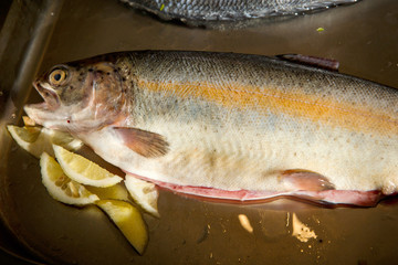 top view on ready to cook fresh trout fish