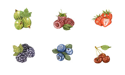 Watercolor hand drawn summer  berry set on white background. Isolated colorful berry mix illustration of fresh strawberry, raspberry, gooseberry, blueberry, dewberry, cherry.