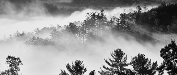 Foggy Sunrise at Red River Gorge, KY