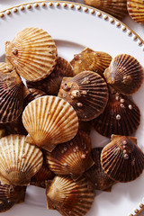 Scallop on marble stone table 