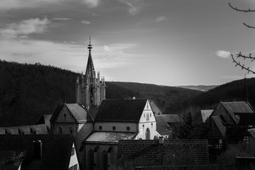 Im Sch&ouml;nbuchwald