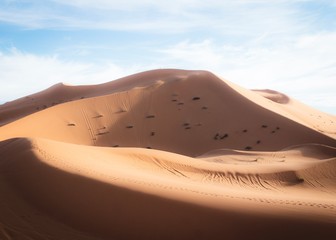 Sahara Desert in Morocco