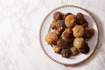 Scallop on marble stone table