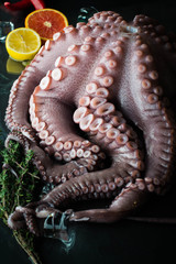 Obraz premium Octopus is decorated with ice cubes, lemon and herbs.