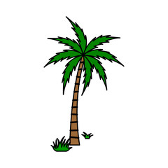 A palm tree vector set.