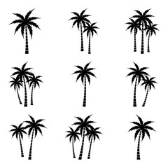 A palm tree silhouette set.