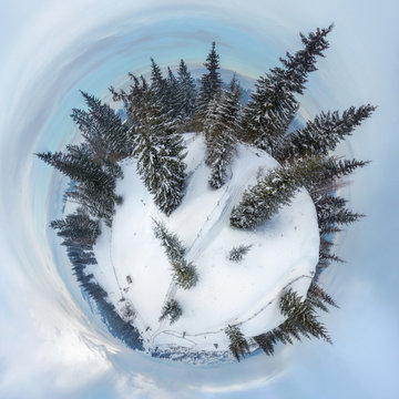 Globe panorama. stereographic projection of a green fir trees in mountain. 360 degree panorama. little planet. winter background