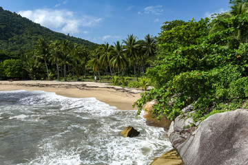 Tropical beach shore in Koh Phangan, Thailand with huge rocks, coconut palm tree, lush green vegetation and small steps leading to tourist bungalows.