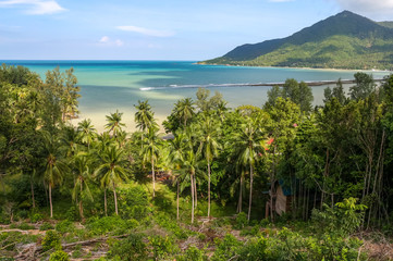 Fototapeta na wymiar Turquoise tropical bay. Sandy beach shore in Koh Phangan, Thailand with coconut palm trees, lush green vegetation. Front part of the forrest has been cut down.