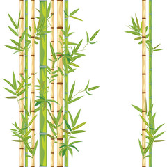 Fototapeta na wymiar Stalks of bamboo
