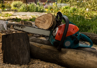 Lumberman using chainsaw sawing dry wood lying on ground.