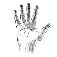 Sketched palm hand gesture
