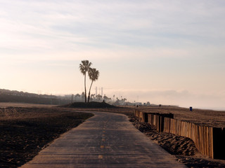 Bike Path and palm trees on the beach at  Dockweiler Beach State Park
