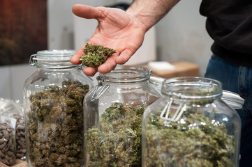 Glass jar full of Cannabis Sativa blossom