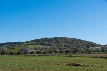 Obraz premium Golden Bay, Malta