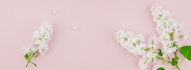 Obraz na płótnie Canvas Pink background with white lilac flowers